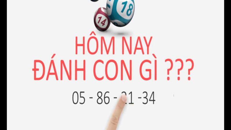 Hướng dẫn cách soi cặp lô đẹp miền Bắc hôm nay