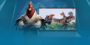 Sảnh đá gà trực tuyến uy tín tại Ww88genz